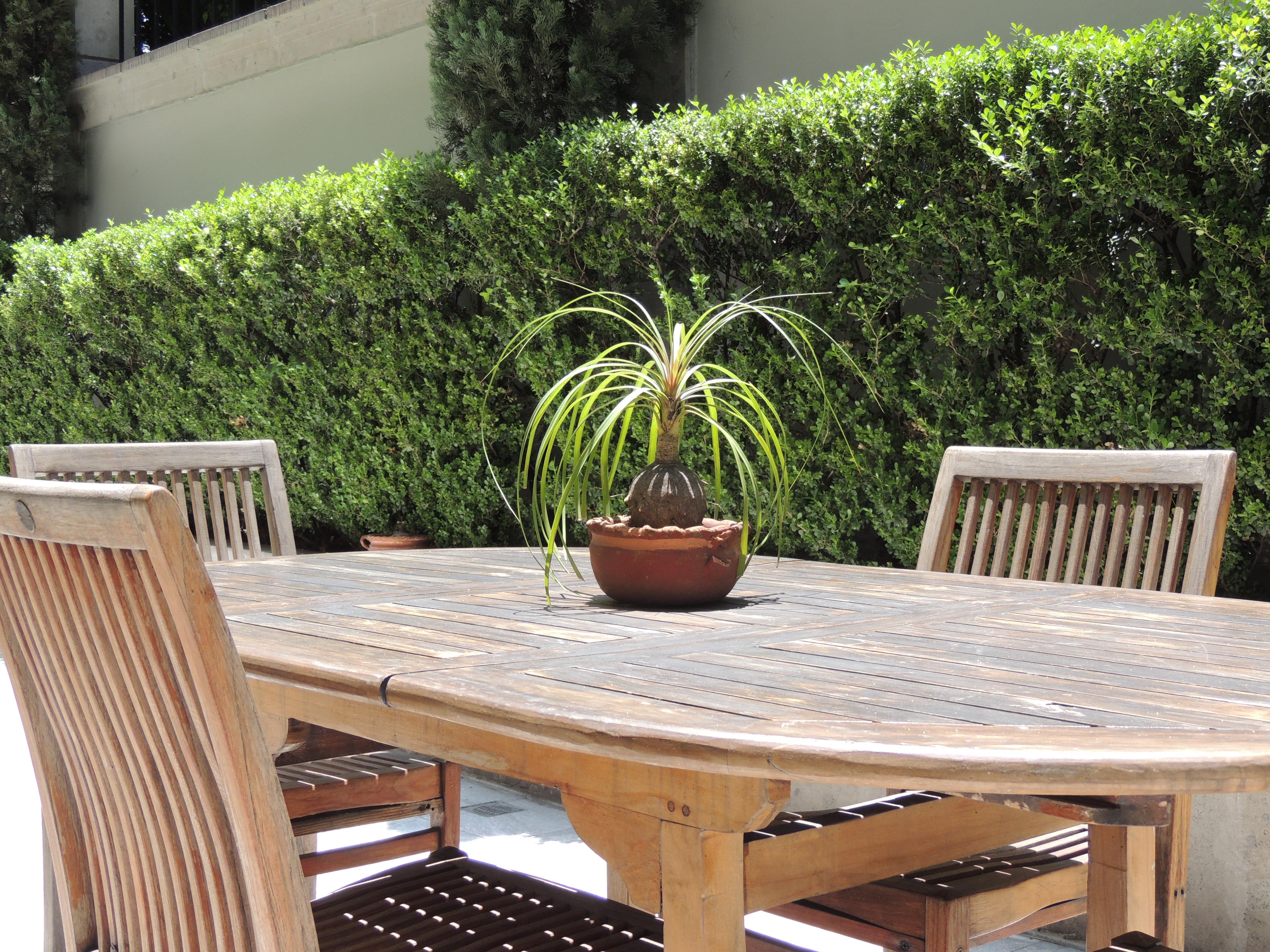 Suites Obelisk Mexico City Ngoại thất bức ảnh