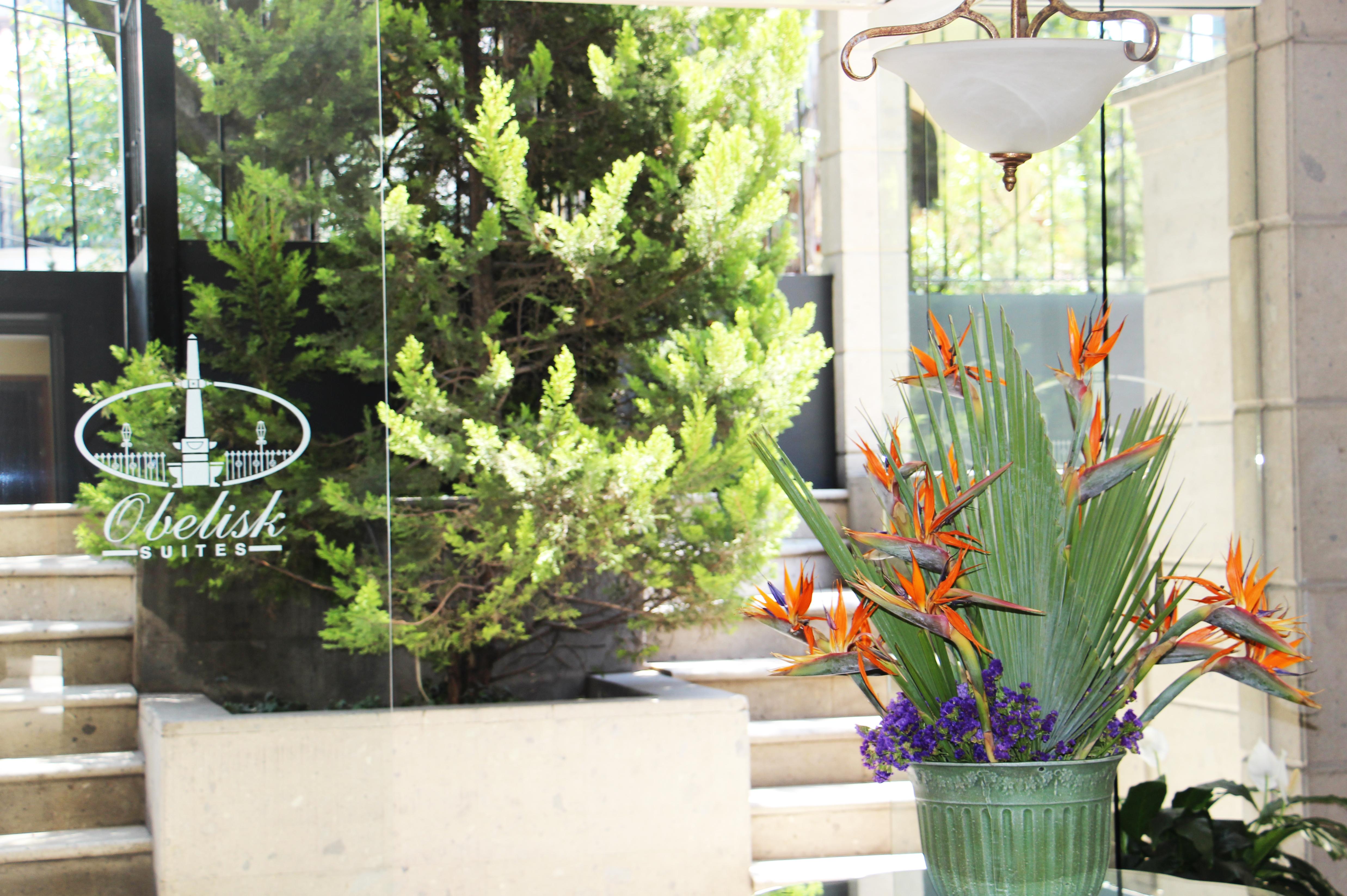 Suites Obelisk Mexico City Ngoại thất bức ảnh